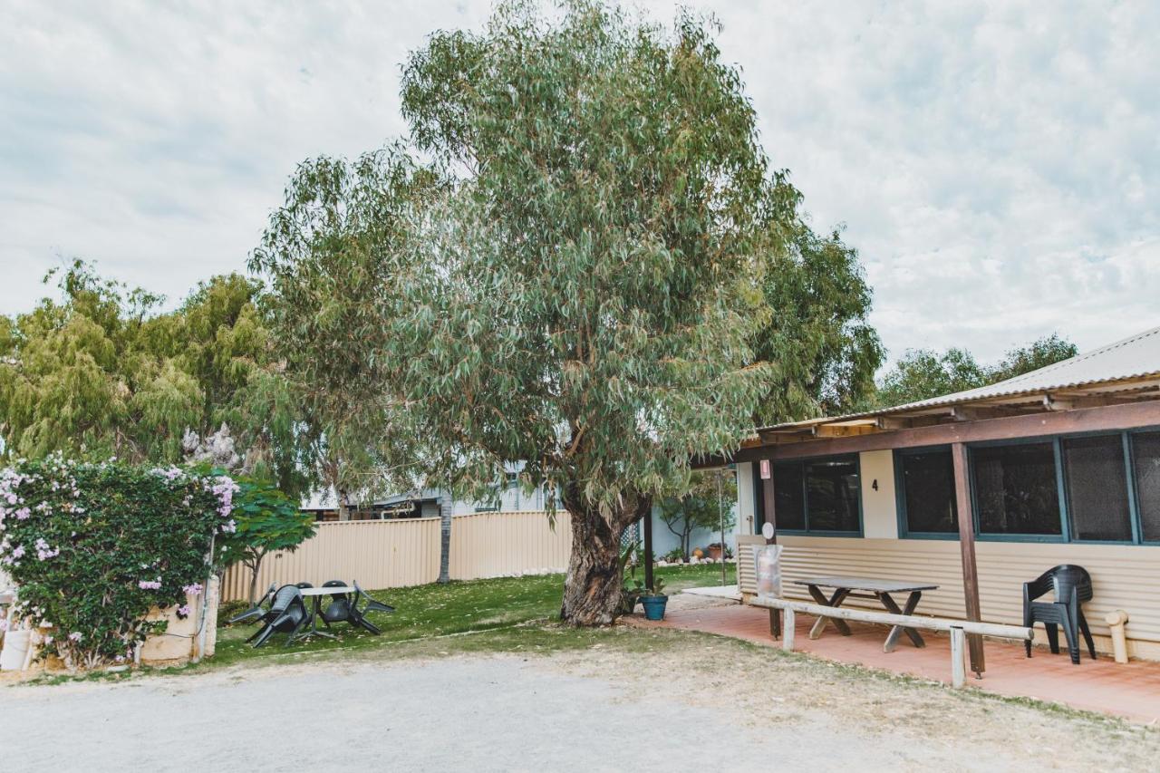 Dongara Hotel Motel Екстериор снимка